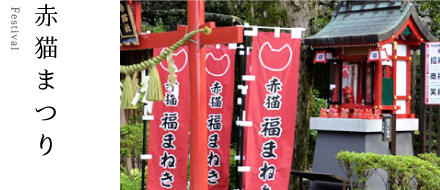 赤猫まつり
